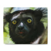 Duvet Cover Indri Lemur - Primation