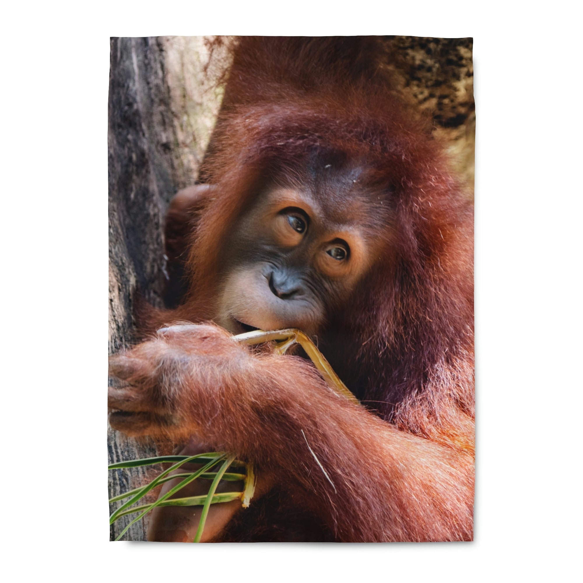 Duvet Cover Orangutan - Primation