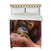Duvet Cover Orangutan - Primation