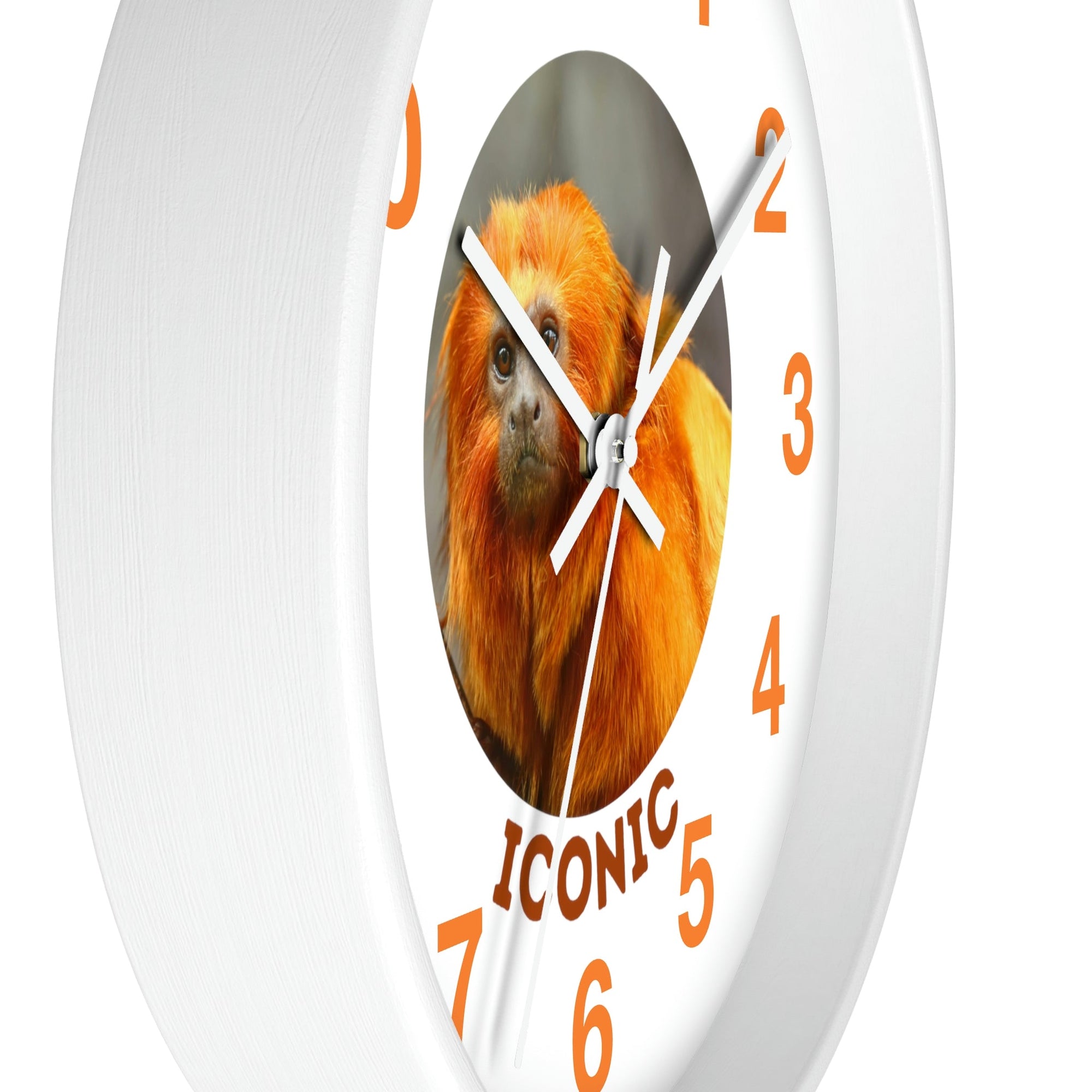 Wall Clock Golden Lion Tamarin - Primation
