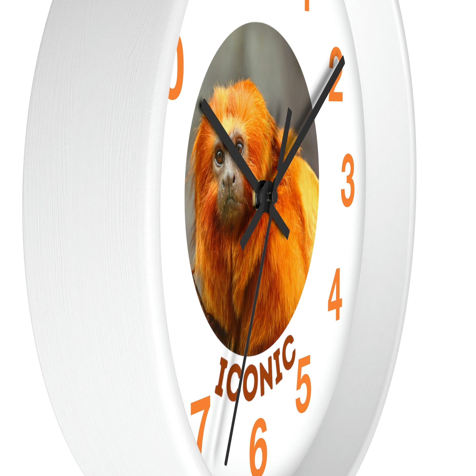 Wall Clock Golden Lion Tamarin - Primation